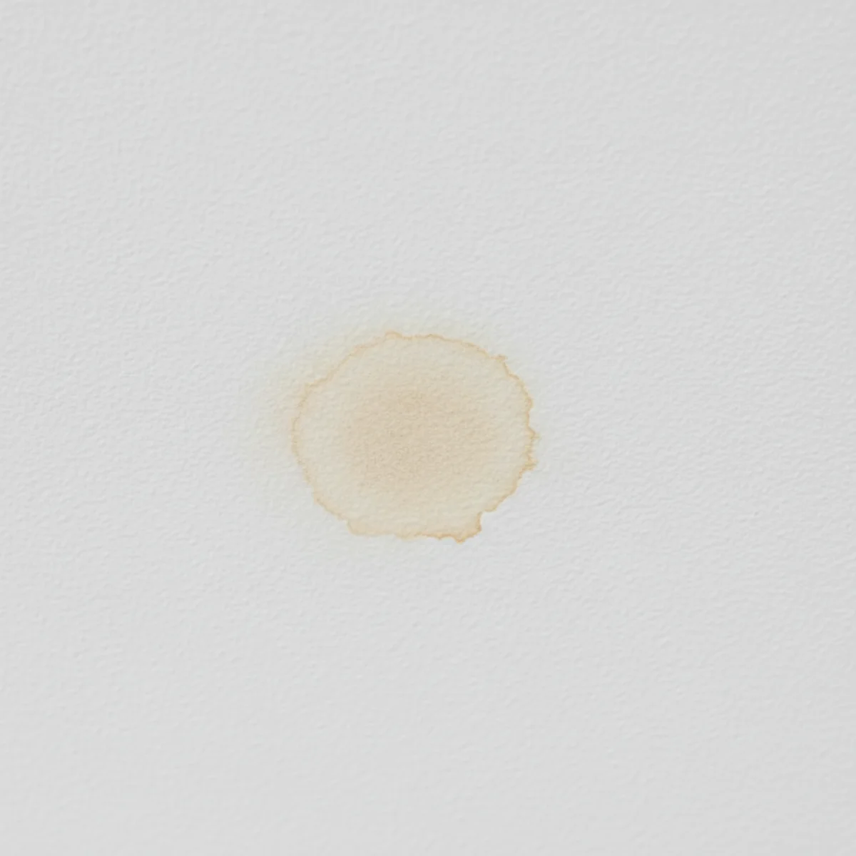 8 Signs of a Hidden Water Leak in Your Home